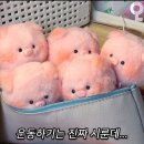 코인홀릭 코인노래연습장 오산 고현점 | September of 24