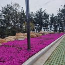 더27월풀펜션 이미지