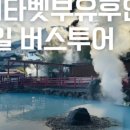 노스벳