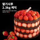 우리유통(주) | 성심당 케이크 딸기시루 증정 추첨 후기 알아보기