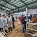 영광축산업협동조합 이미지