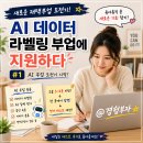지원하다 | 재택 부업 도전기 #1｜AI 데이터 라벨링 부업에 지원하다