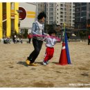 새샘초등학교 병설유치원 이미지