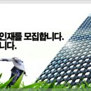 키위플(주) Daum카페