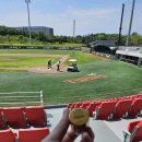 트윈스팜 이미지