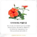 래쉬바다 - 수영구 수영로 604 | 래쉬바다