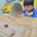 우당탕, 꼬마 과학자의 실험실 | 6세 유아 과학 수학 고민 해결! "와이키즈 봉선점"1년 다니며 과학 꿈나무 된 대통이 학원 후기