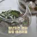 사각지대 지원사업 프로그램 | 광주 광산 청년도전 지원센터 테라리움 힐링 체험 후기 (청년 프로그램 추천!) / 포레스타