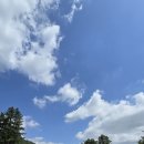 숲향기 목공방 이미지