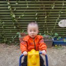 사직지구대 이미지