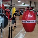 평촌 권투체육관 이미지