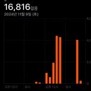 CU 완도청산도점 | 청산도 은하수투어 후기(24.11.09.~11.10.)