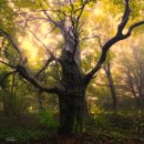 세븐에이치 이미지