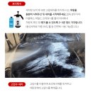 세차나라 | [내돈내산] 세알남 초보 셀프 세차용품 세트 14종 세트 지금까지 3번 사용해본 후기!🐿️👍 (리얼)