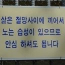 별미곱창 이미지