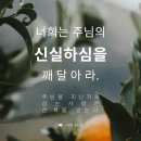 맛보아 - 제주시 | 맛보아