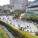 정량천 생태하천 이미지