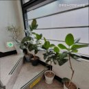 한마음노인전문요양원 | 화곡동요양원 한마음노인전문요양원 화곡동의 믿을 수 있는 요양원