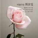 화요일 - 안양시 동안구 동편로27번길 26-12 | 화요일