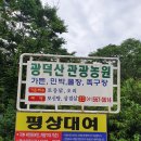 광덕산관광농원호두나무캠핑장 이미지