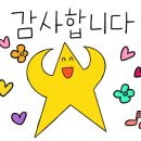 직화쭈꾸미쭈천 이미지