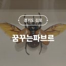 성은농장 | 김포 꿈꾸는파브르 곤충 파충류 농장 체험 예약 입장료 주차 후기 실내 아이랑 가볼만한곳