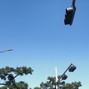 제64회 탐라문화제 이미지