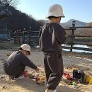 하늘아래 | 대구 캠핑장에서 만난 힐링의 순간: 하늘아래수성별사랑캠프 후기