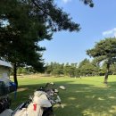 [국도3] 충주시 향산리 | 충주 임페리얼레이크cc 맛집 사과나무백숙 삼계탕 제육볶음 내돈내산