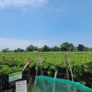 해뜸3농장 이미지