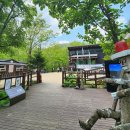 ♤8월13일(목)강원도 인제 천상의 화원 점봉산 곰배령(1,164m) 강선계곡 코스 산행 예약 이미지