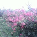 동혜농장 이미지