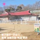 태평천하 | 태평천하에서 즐긴 평택촌캉스 애견동반펜션 후기