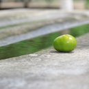 우리세탁 이미지