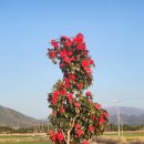 정약용의 남도 유배길(B코스) 이미지