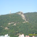 구덕령 표지석 | 김귀영의 구봉산 엄광산 구덕산 시약산 승학산 종주 산행기 구봉산-돌탑