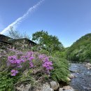 흥정계곡 409 이미지