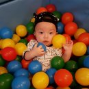 마이짐(MY GYM) 이미지