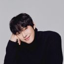 안효섭 카카오 검색결과