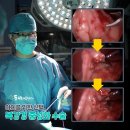 더 건강한 동물병원 이미지