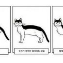 투카PC방 이미지