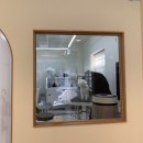 소계동103 | [창원 도계동] 창원애견미용 모넬롱