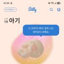 29주 더운여름