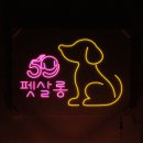59펫살롱