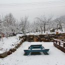 사과나무 펜션 이미지