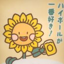 하이바(잠실방이점) 이미지