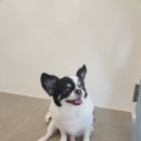 초이미용실 이미지