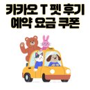 카카오T펫택시(백석점) | 카카오 T 펫 후기 예약부터 요금, 할인 쿠폰까지 총정리