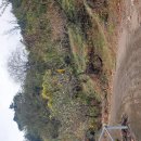 악양면사무소 이미지