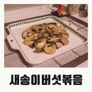 새송이